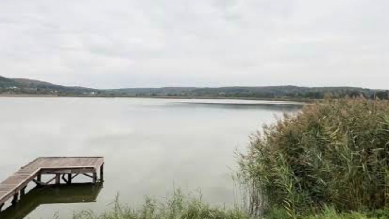 Недільчинське водосховище, Зашків
