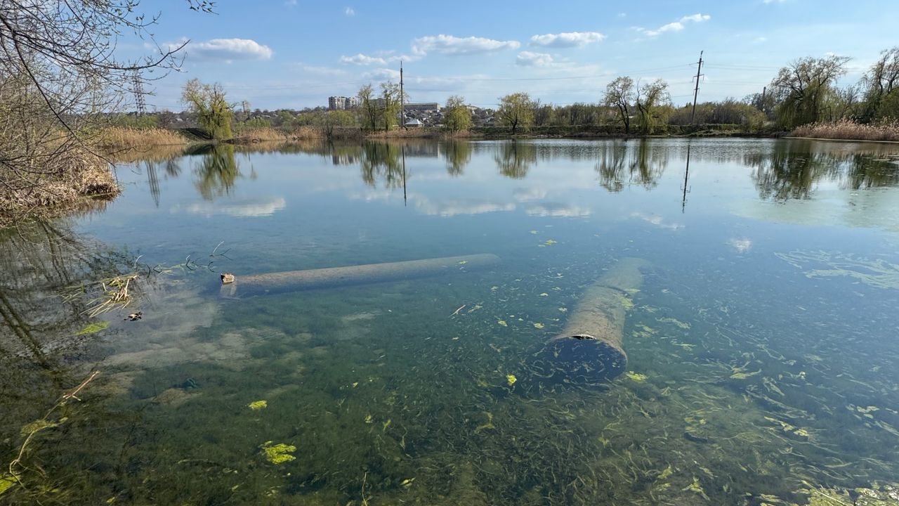 Ставок Квадрат
