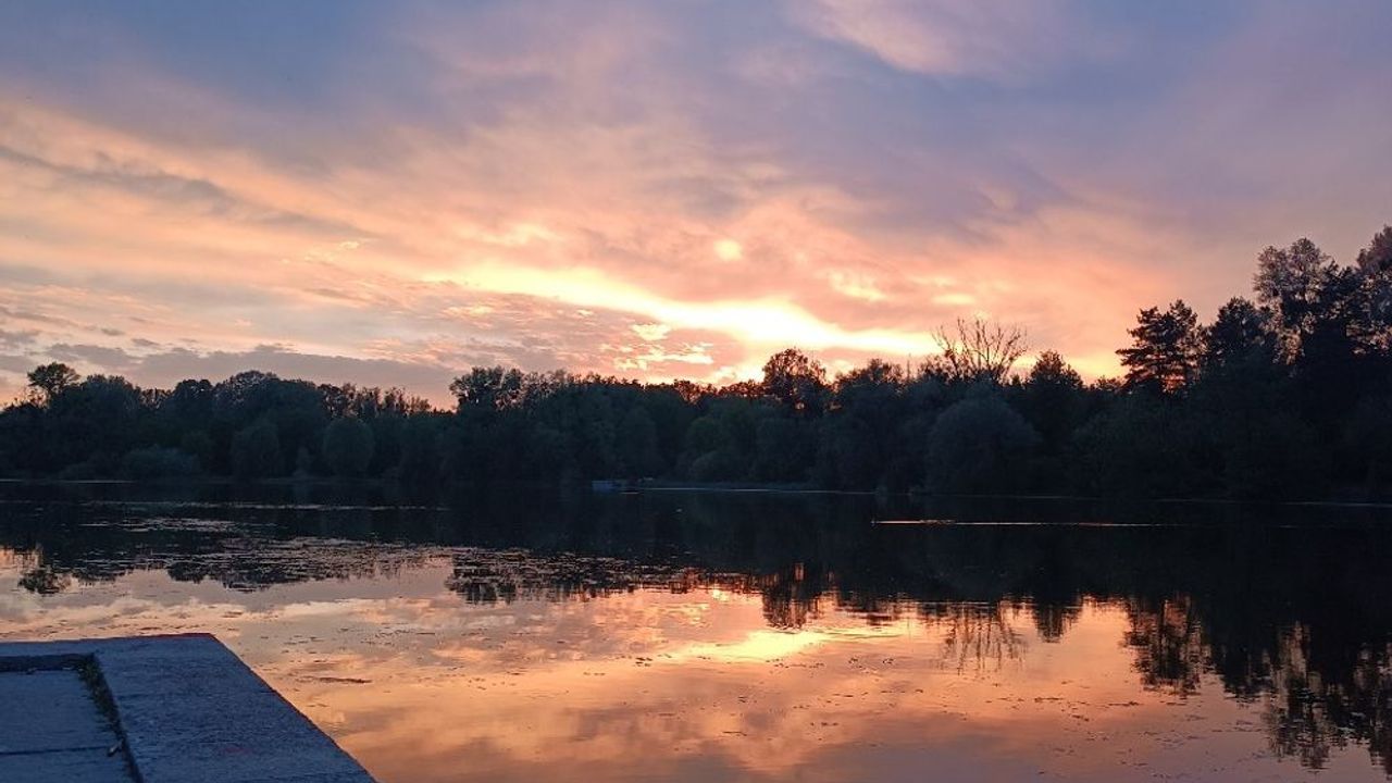 Лісове озеро