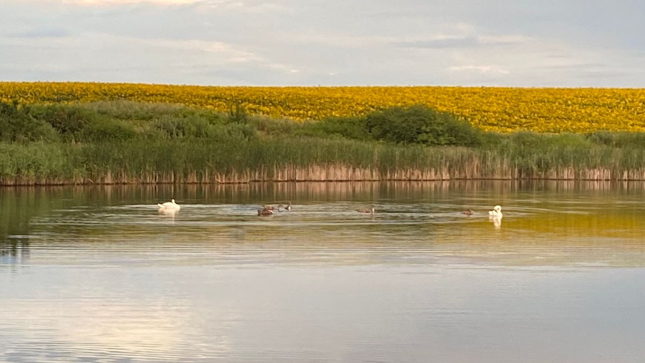 Платне озеро Сінгурі — фото 1