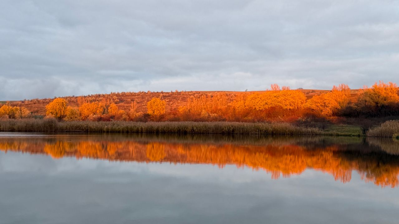 Слобідський став