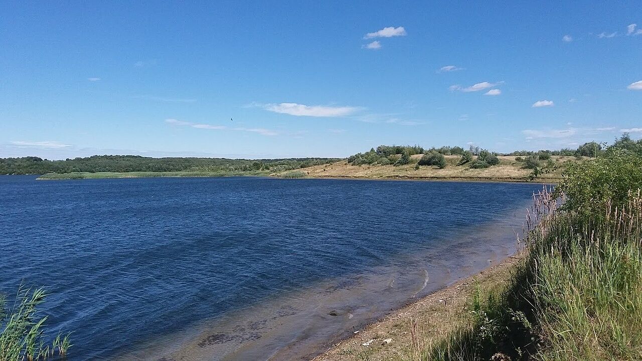 Віжомля 