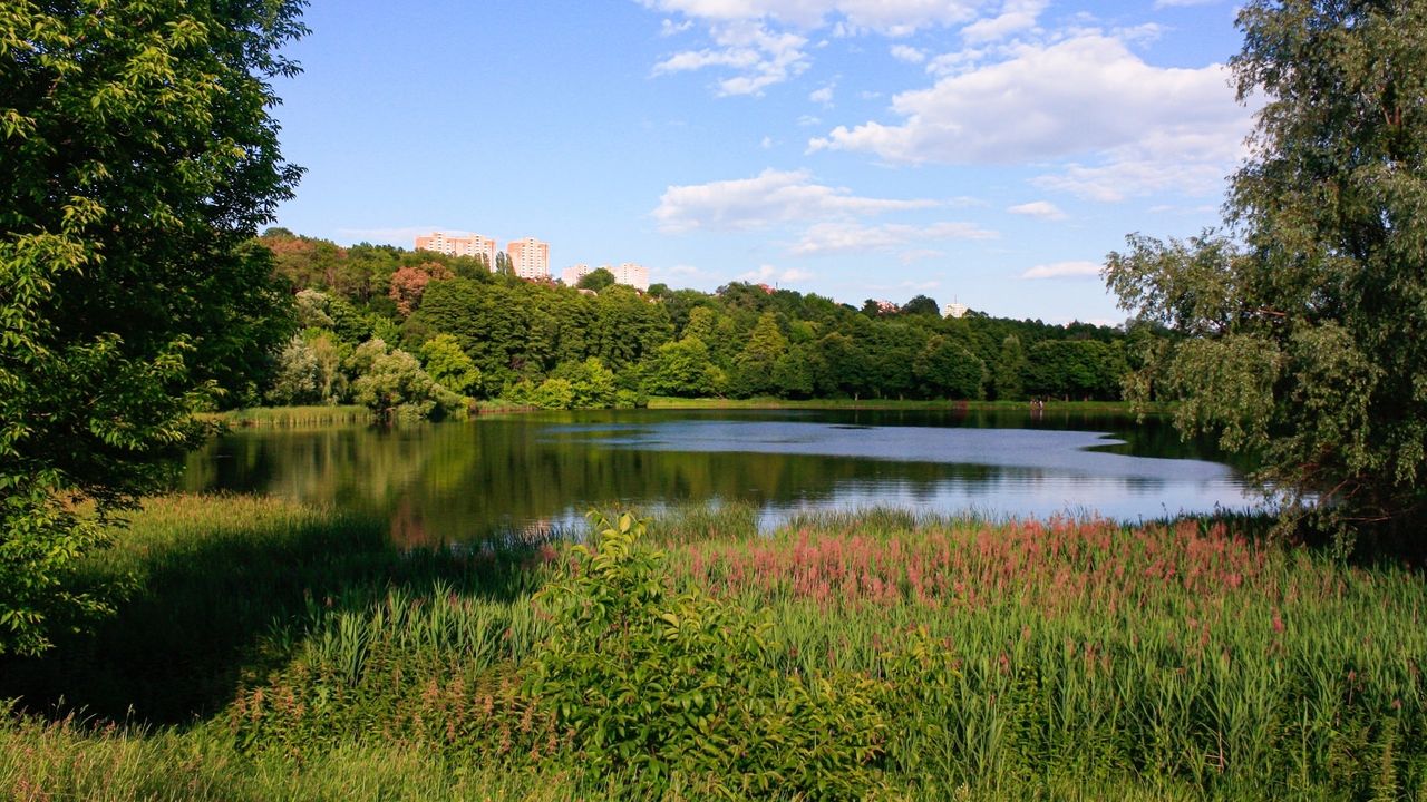 Голосіївські ставки — фото 1