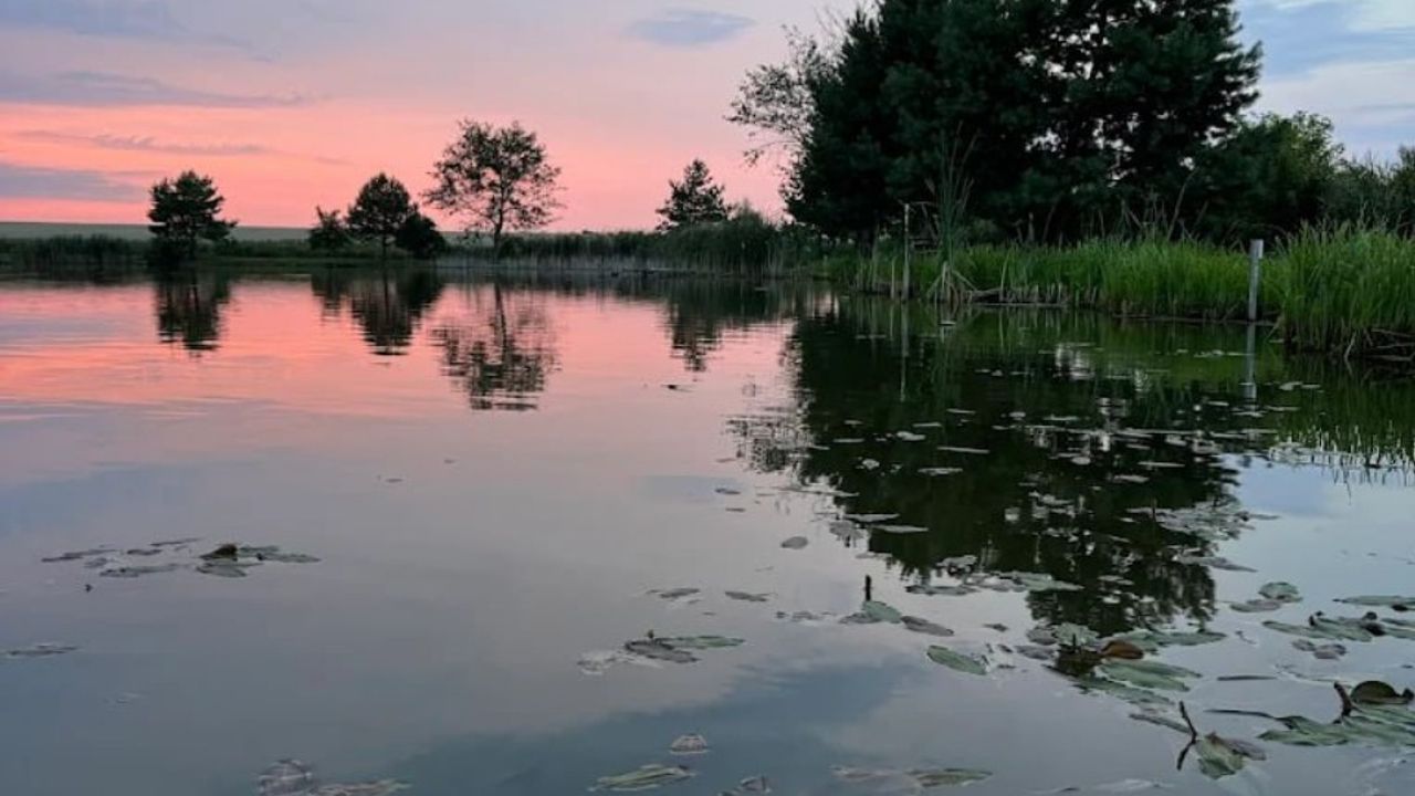Озеро Куровичі у Львівській області — фото 1