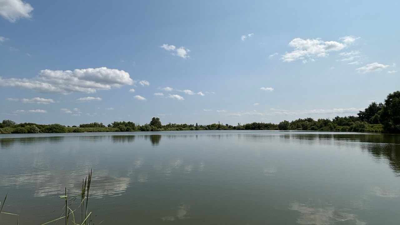 Ставки в селі Вівня — фото 1