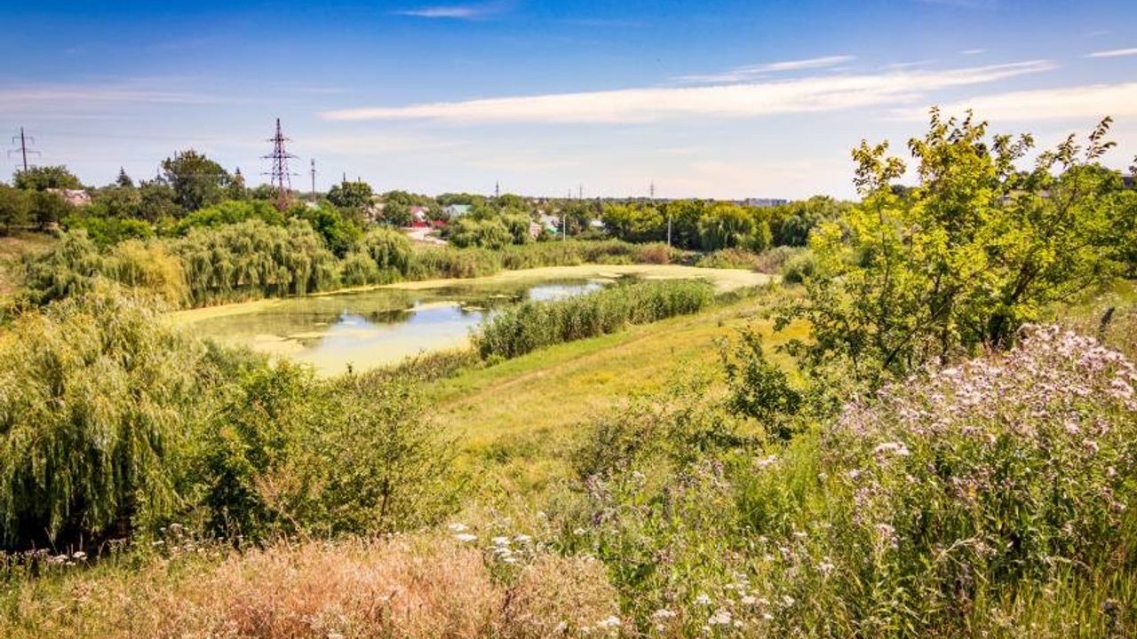 Малий Став на Озерній Балці — фото 1