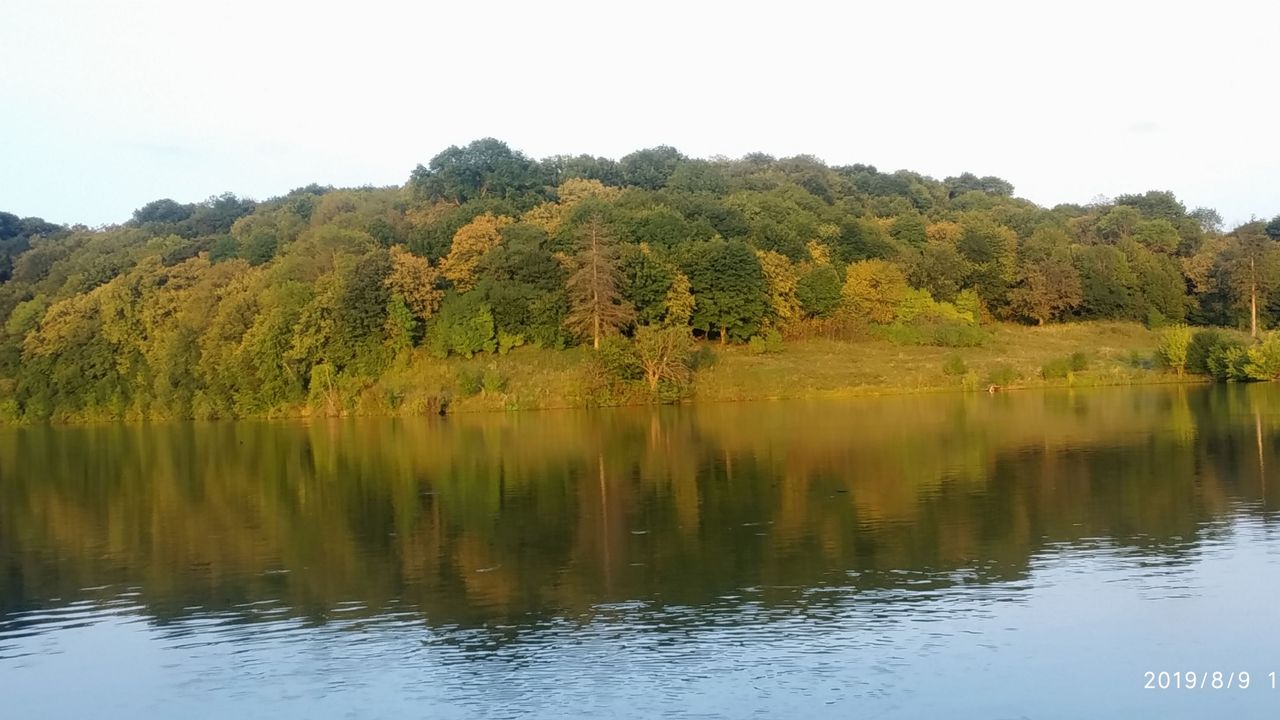 Ставок с. Шарівка (річка Волчок)