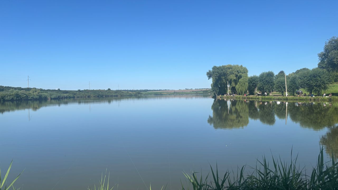 Заставна на полях