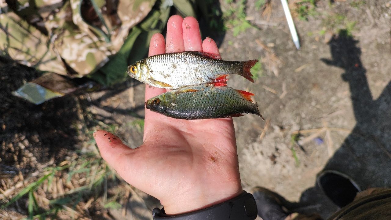 Річка Стрижень