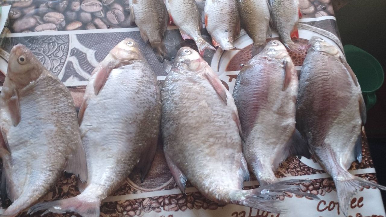 вінницьке море