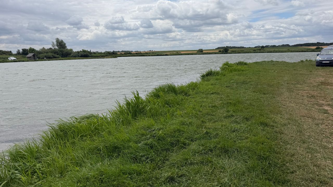 Ставок Коршів