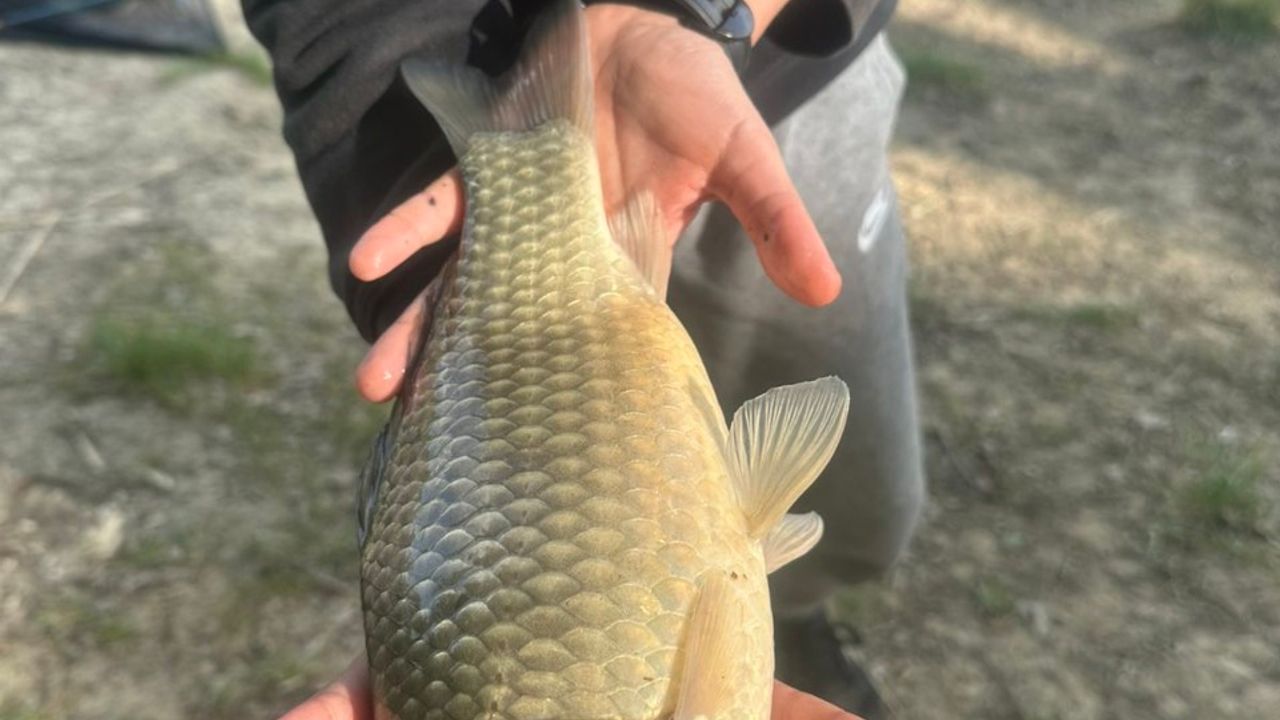 Нижнє Солотвино — фото 1