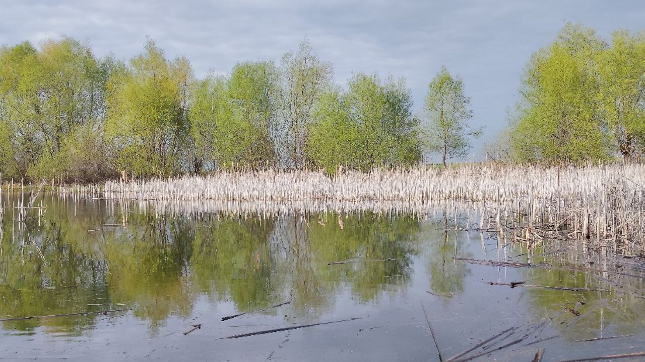 стара дамба — фото 1