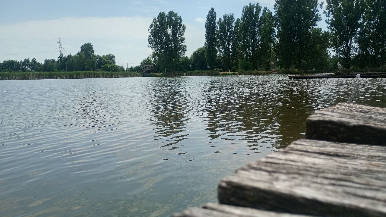 Скоморохи