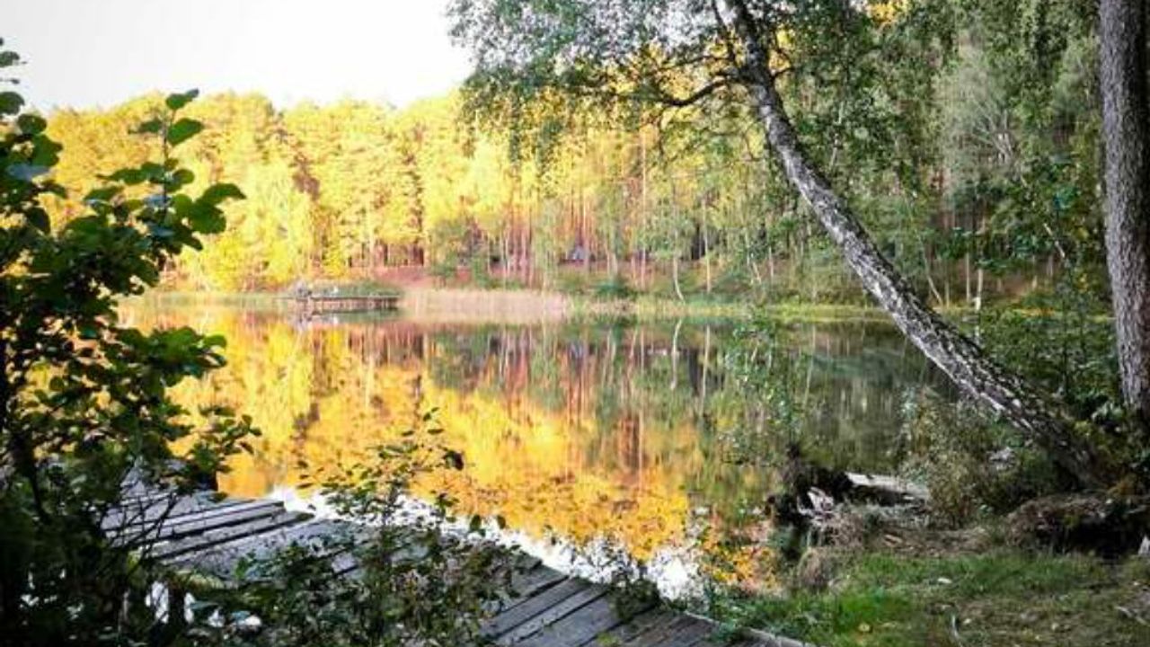 Озеро Засвинське — фото 1