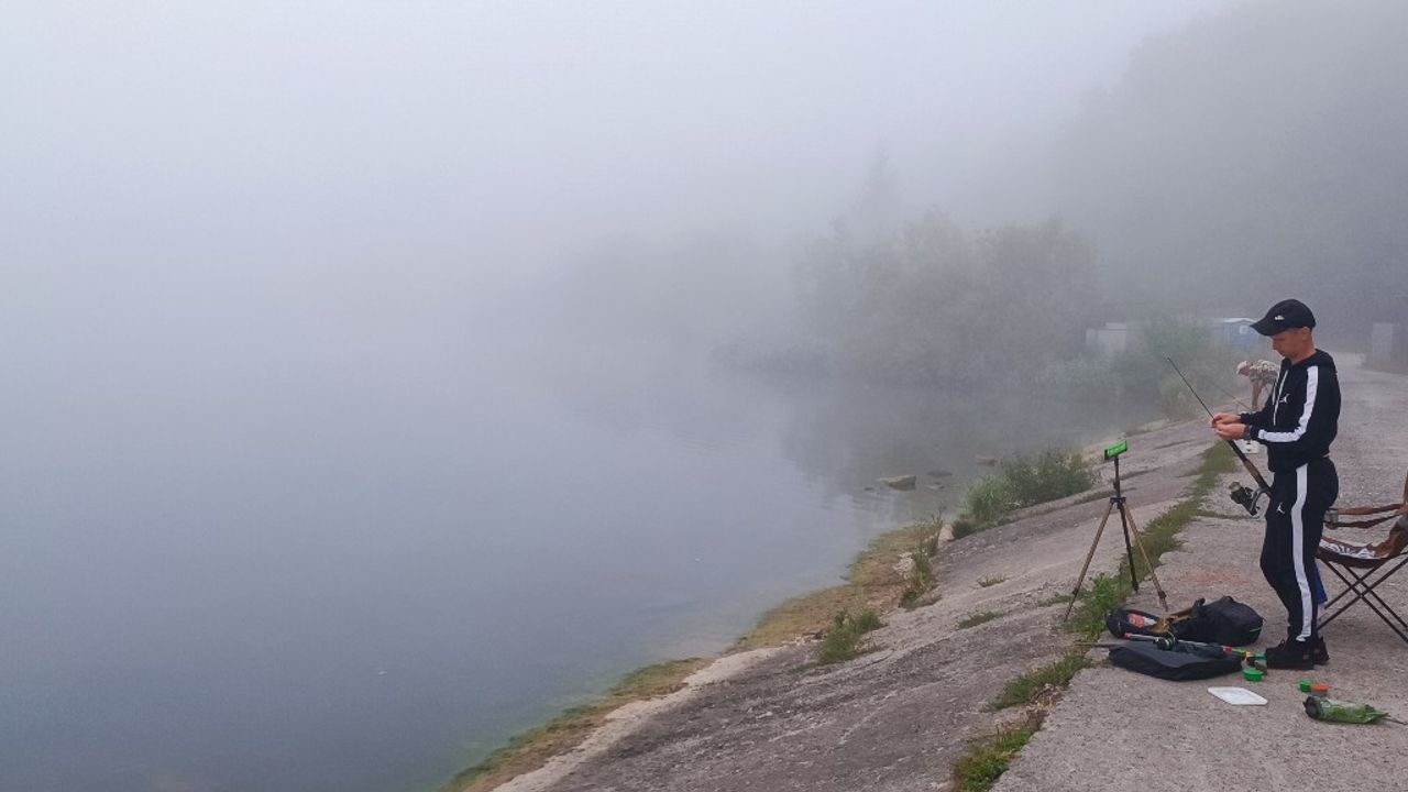 Бурштин "Альтанки"