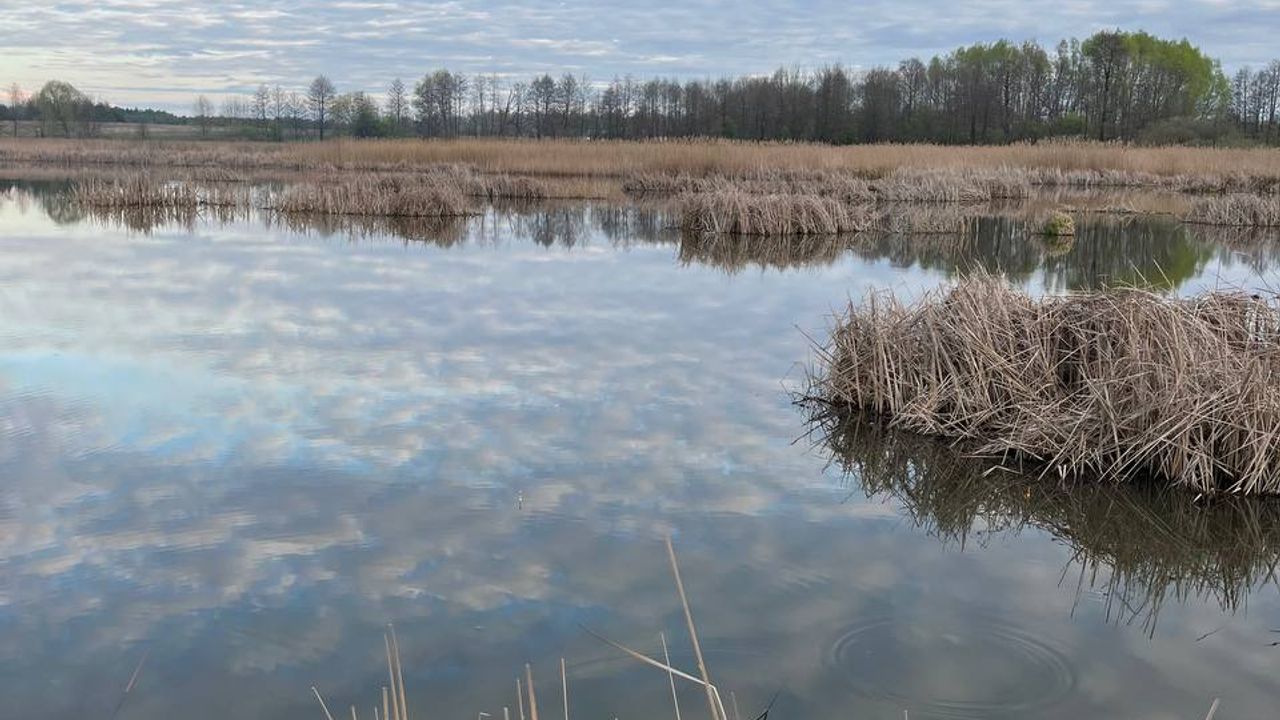 Брусилівське водосховище