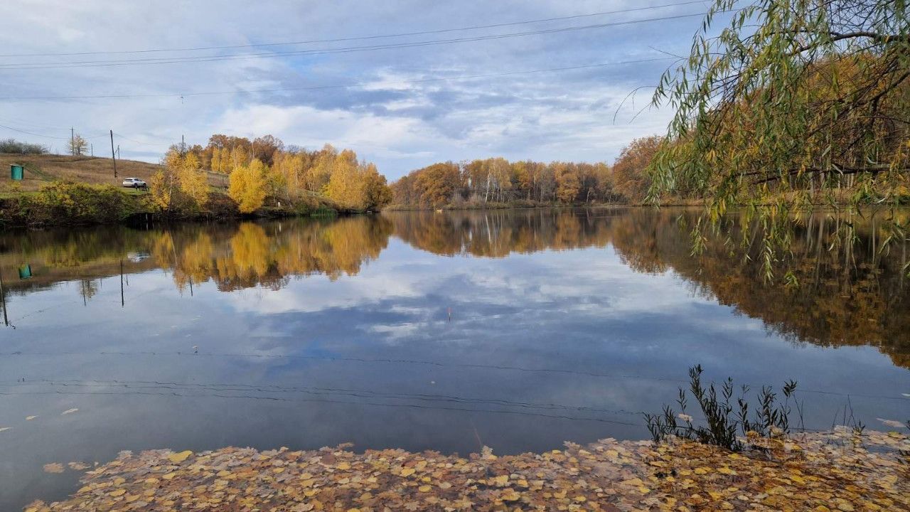 Ставок "ВИРІШАЛЬНИЙ" — фото 1