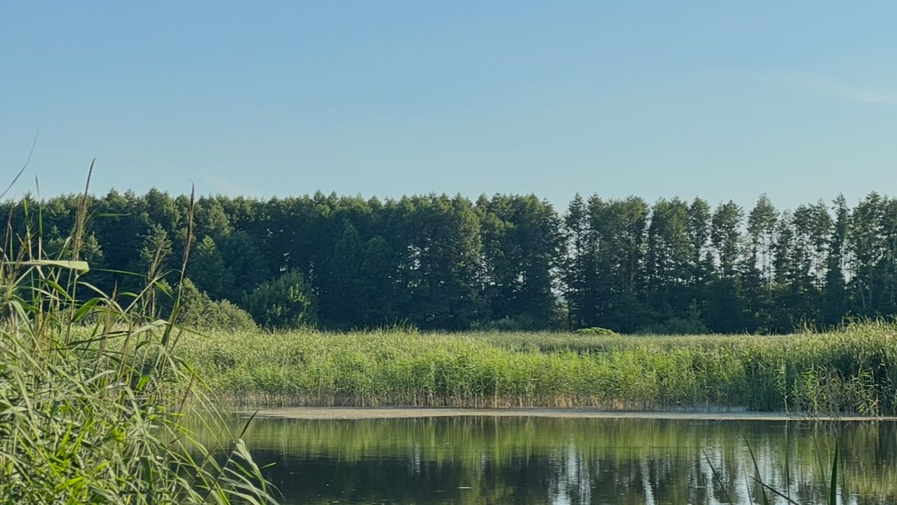 Кийлів, в народі «Педячка» («Бєсєдка», «Акаціі», «Рудяки») — фото 1