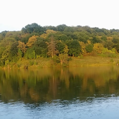 Ставок с. Шарівка (річка Волчок)