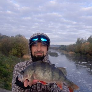Максим Fish Dream