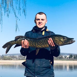Едуард Гнідко
