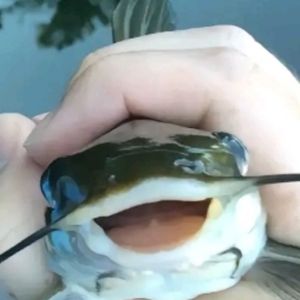 Артем🐟