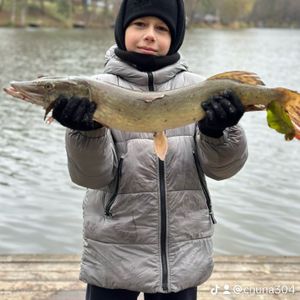 Нікіта_Рибачок