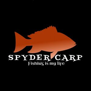 SPYDER CARP