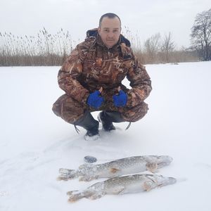 Olexandr