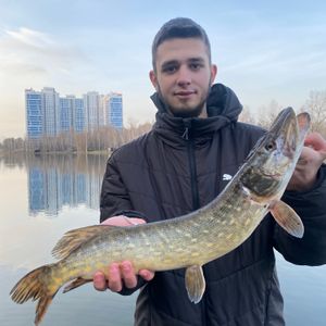Владислав