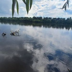 Fishing Fan