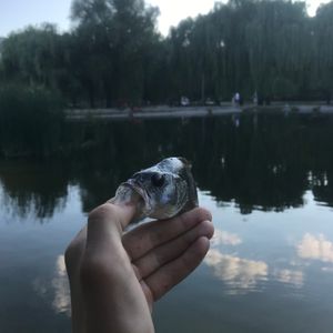 Yaroslav