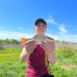 One Sport Fishing