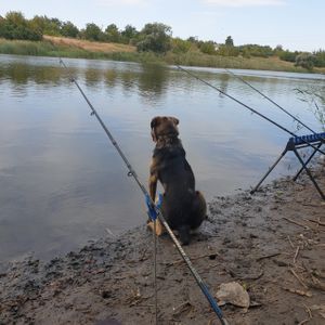 Макс