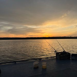 Lukashin