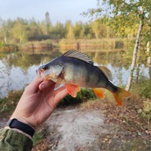 Максим