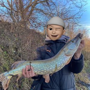 Angler_shiro
