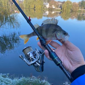 ViktorLV🎣