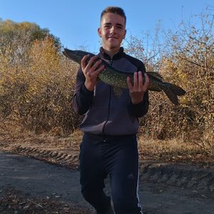 Karp