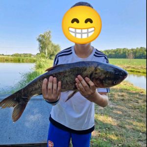 Антон 🐟