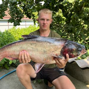 bodjafishing