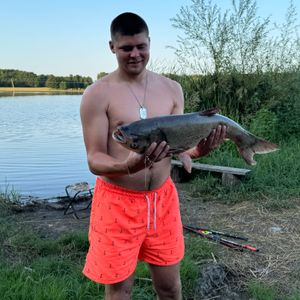 Vlad_0410