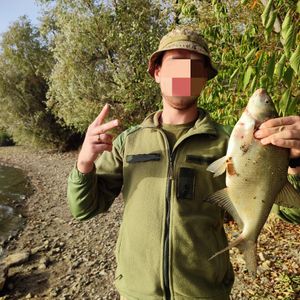 Dedfish
