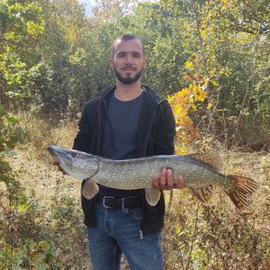 Олександр