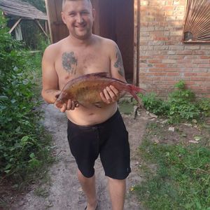 Олег 