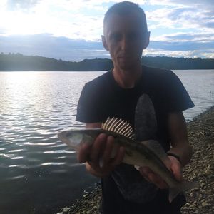 Andreyko
