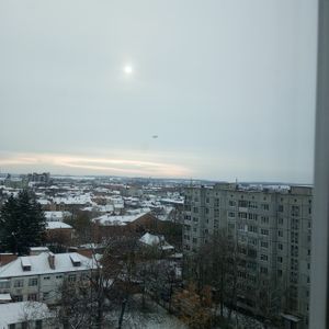 Дамир Хохол