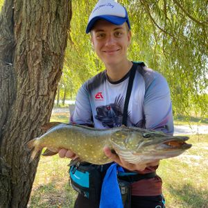 Fish Seeker