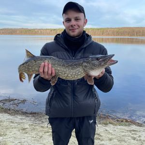 Гавловський Назар